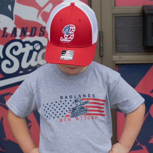 Youth Grey Flag T